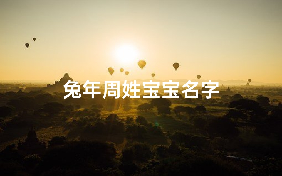 兔年周姓宝宝名字