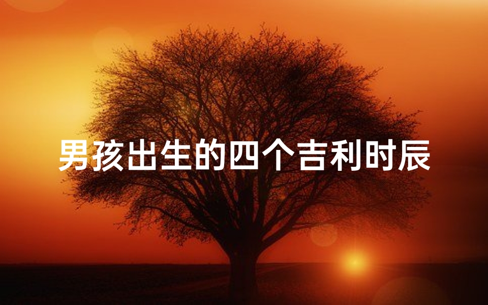 男孩出生的四个吉利时辰、男孩出生时间时辰哪个好
