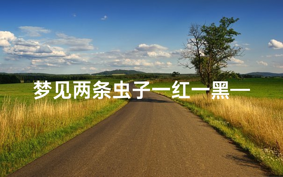 梦见两条虫子一红一黑—梦见两条大黑虫