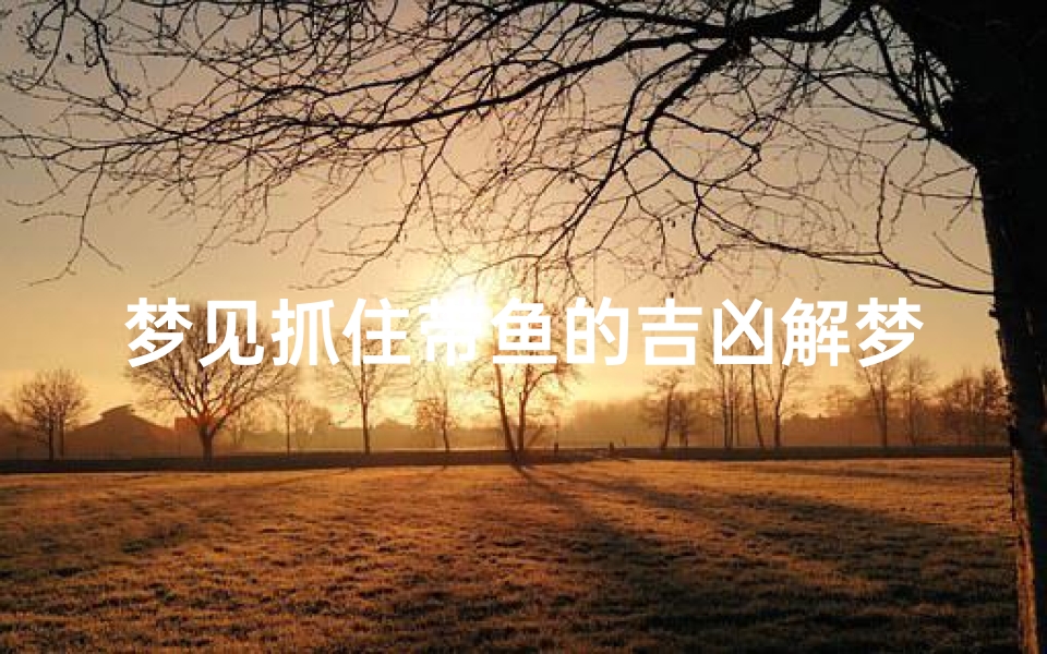 梦见抓住带鱼的吉凶解梦;梦见抓到大带鱼