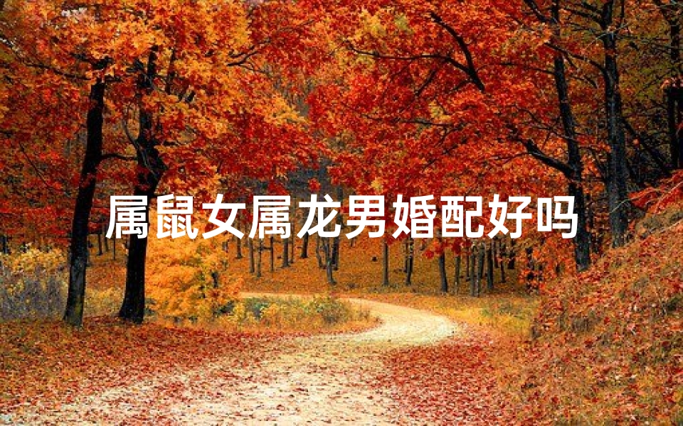 属鼠女属龙男婚配好吗