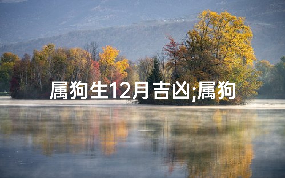 属狗生12月吉凶;属狗12月运势揭秘：吉凶喜忧一览无遗