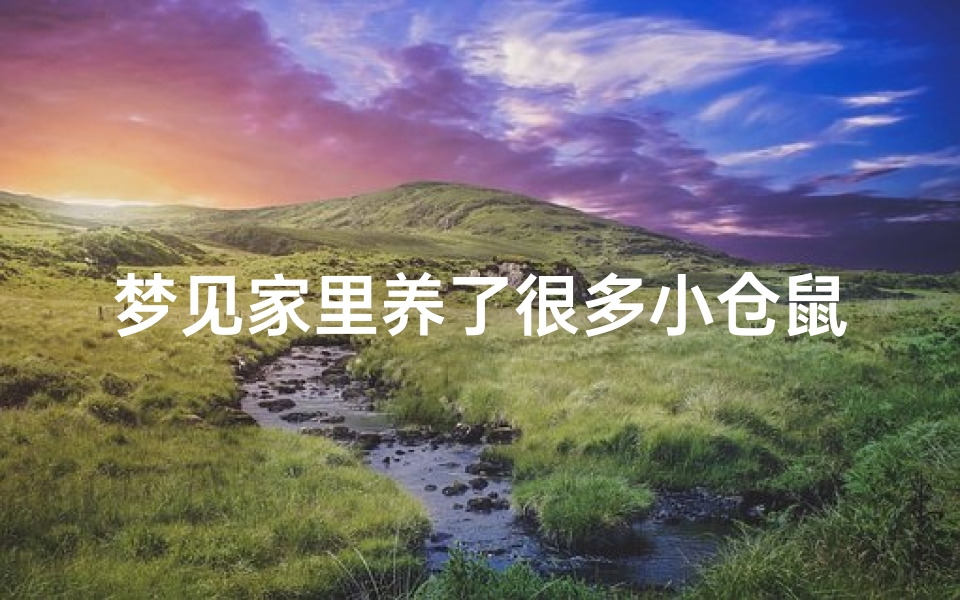 梦见家里养了很多小仓鼠,梦见家里养了一只仓鼠