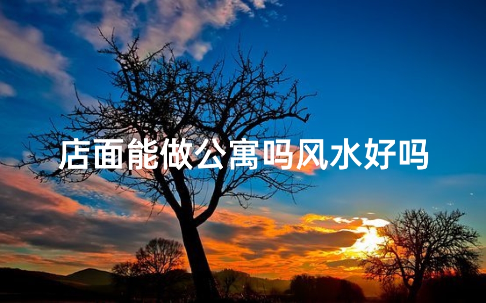 店面能做公寓吗风水好吗;店面变公寓风水解析：适宜居住吗？