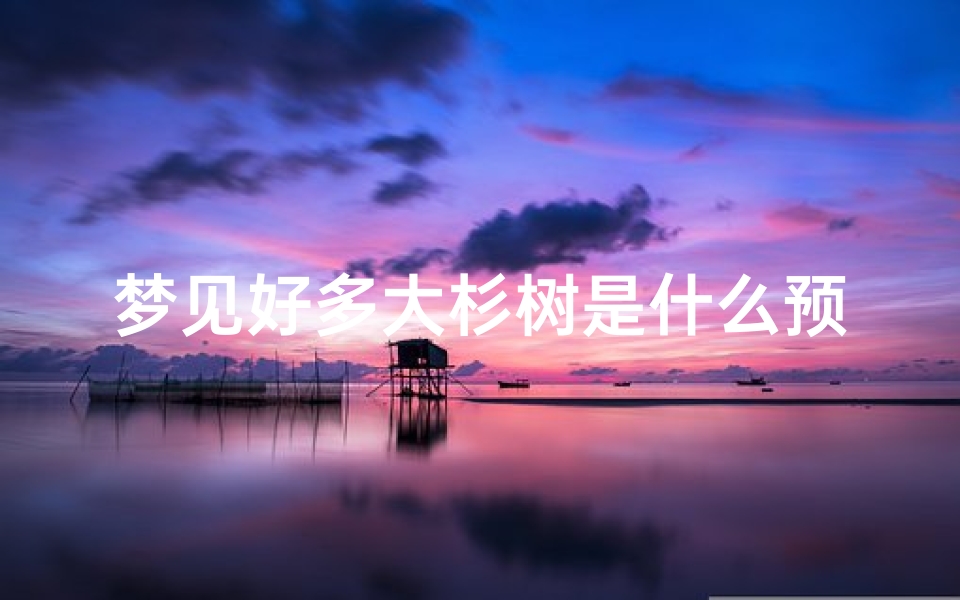 梦见好多大杉树是什么预兆、梦见杉树长得很茂盛