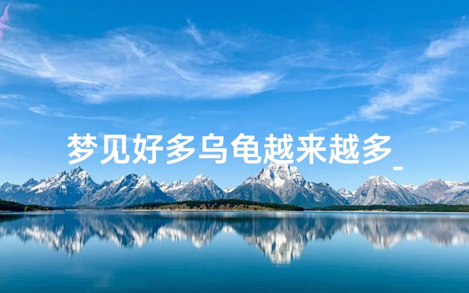梦见好多乌龟越来越多_梦见非常多的乌龟