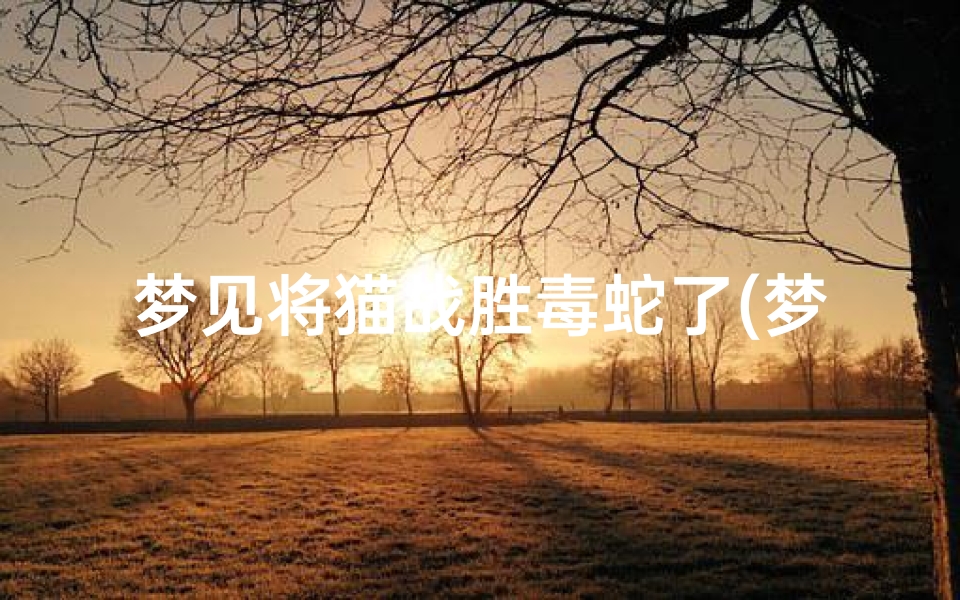 梦见将猫战胜毒蛇了(梦见猫攻击蛇)