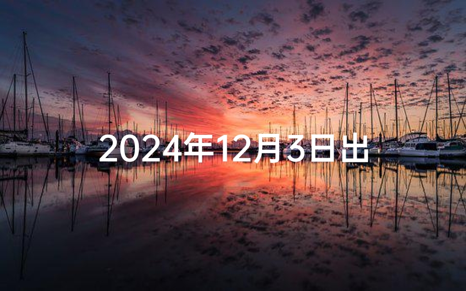 2024年12月3日出生的生辰八字(《2024年11月12日生辰八字揭秘》)