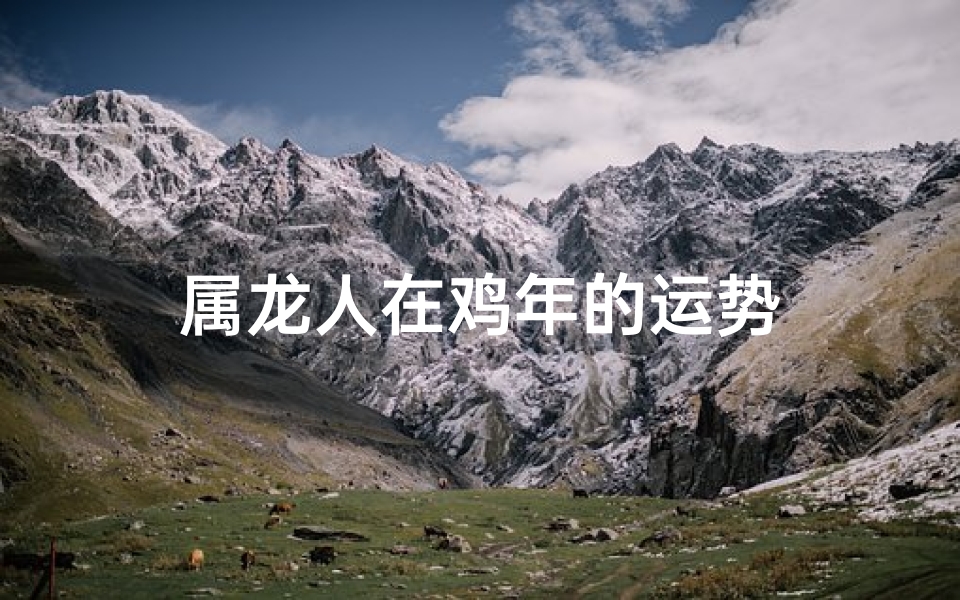 属龙人在鸡年的运势