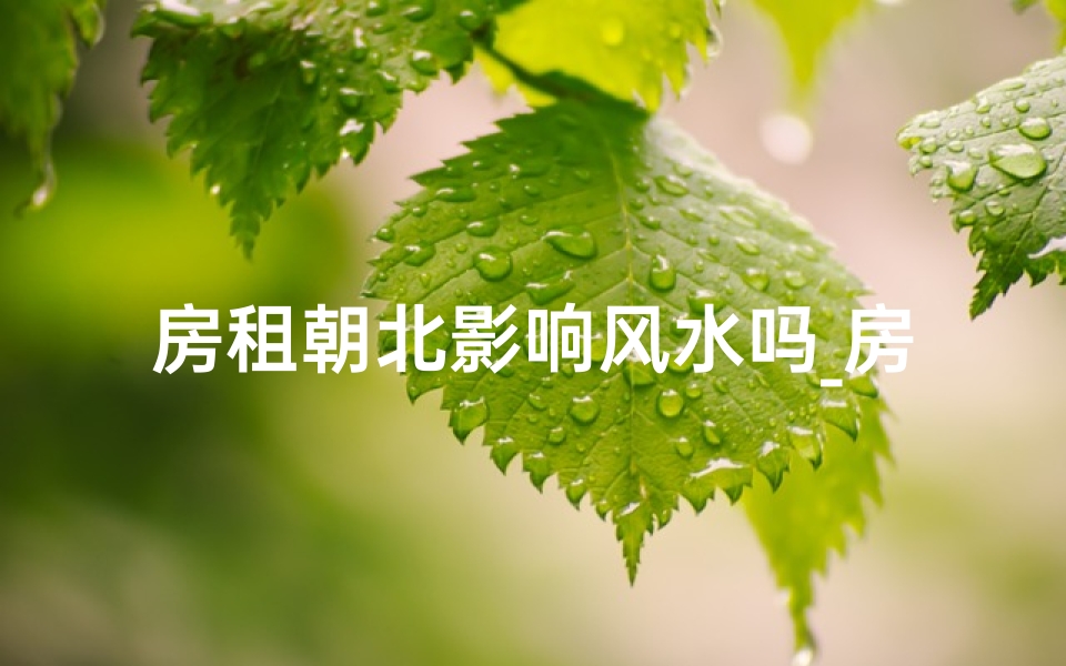 房租朝北影响风水吗_房租朝北影响风水？揭秘家居风水之谜