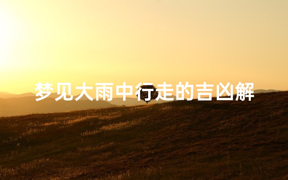 梦见大雨中行走的吉凶解梦(梦到下大雨在雨中行走)