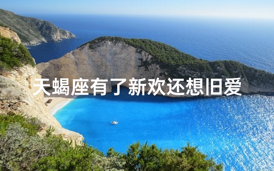 天蝎座有了新欢还想旧爱吗,天蝎男有了新欢还会回头吗