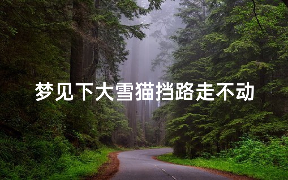 梦见下大雪猫挡路走不动、梦见猫躲雨
