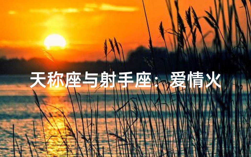 天称座与射手座：爱情火花能否点燃？