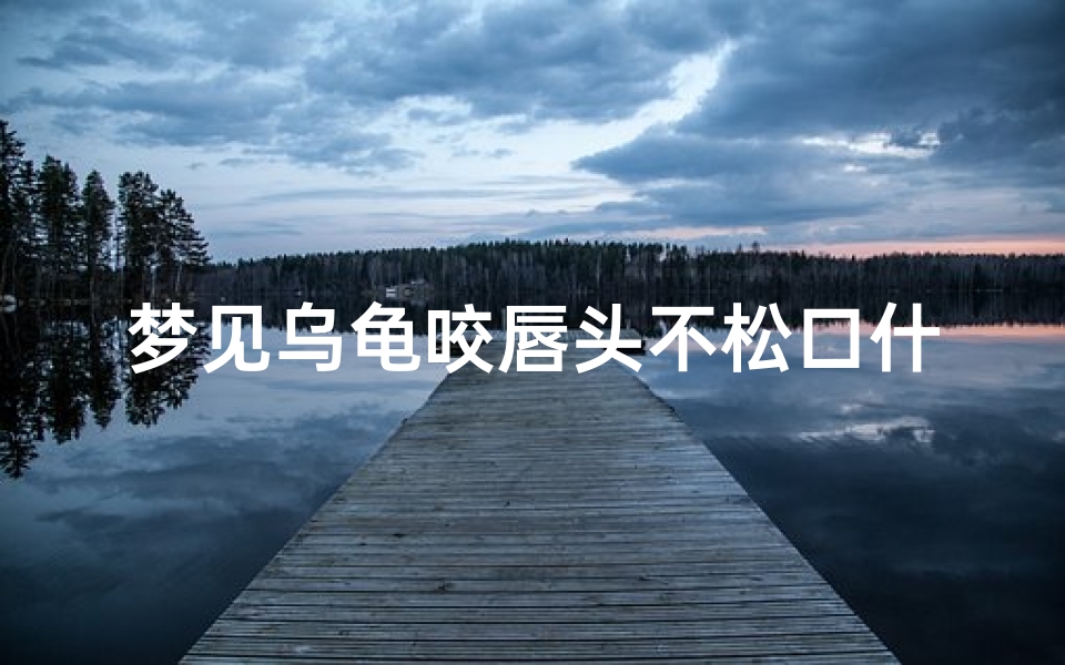梦见乌龟咬唇头不松口什么预兆;做梦到乌龟咬一口