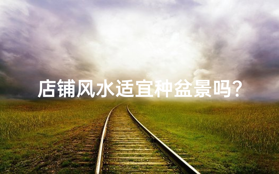 店铺风水适宜种盆景吗？揭秘盆景布局之道