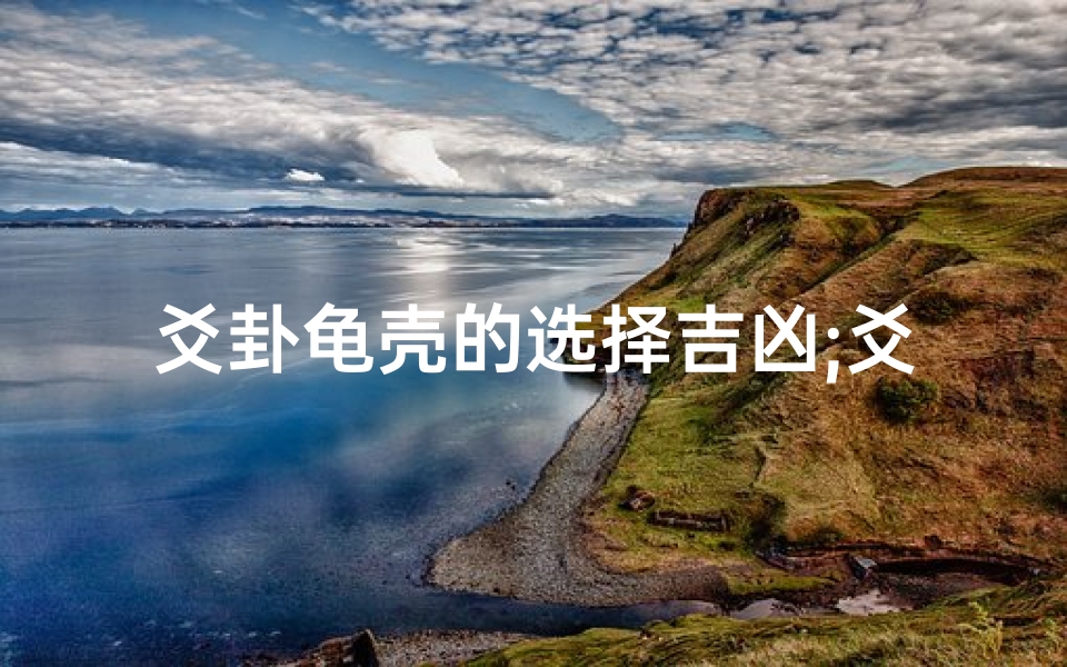 爻卦龟壳的选择吉凶;爻卦用什么龟壳最好