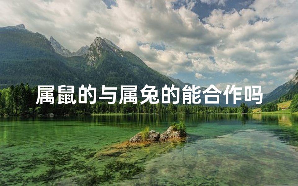 属鼠的与属兔的能合作吗