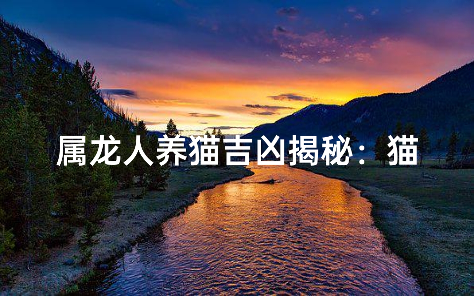 属龙人养猫吉凶揭秘：猫儿相伴好运来