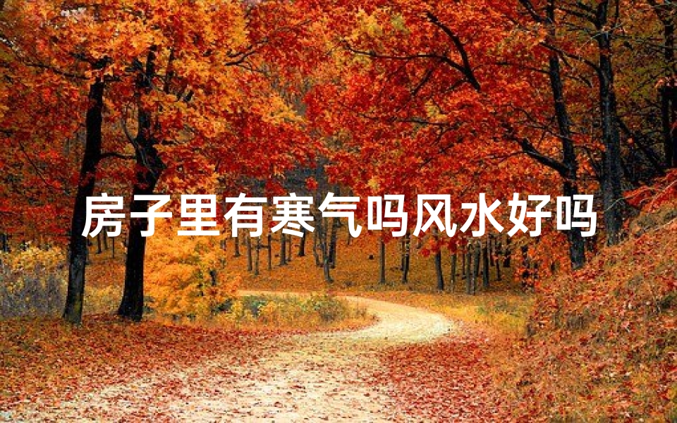 房子里有寒气吗风水好吗-房子里寒气重风水好吗？揭秘家居风水奥秘