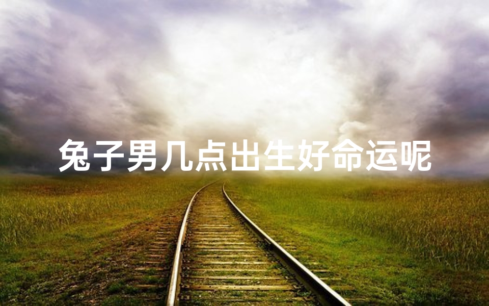 兔子男几点出生好命运呢,《兔子男几点出生命运佳》