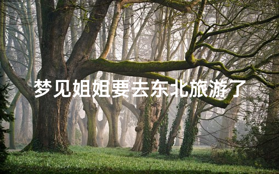 梦见姐姐要去东北旅游了;梦见姐姐要出门