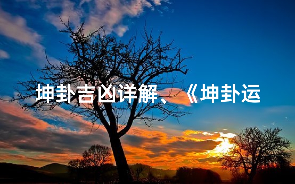 坤卦吉凶详解、《坤卦运势揭秘：吉凶分析指南》