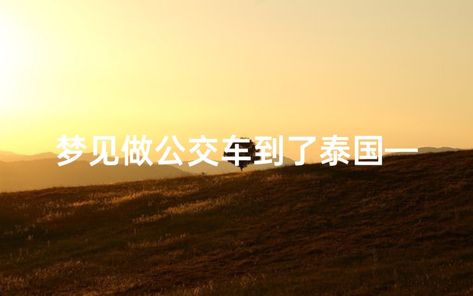 梦见做公交车到了泰国—梦见坐车去泰国