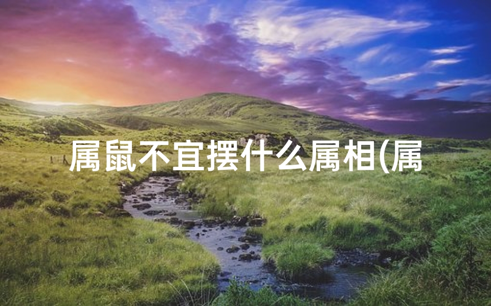 属鼠不宜摆什么属相(属鼠不宜摆什么属相的摆件)