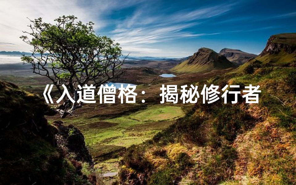 《入道僧格：揭秘修行者的神秘特质》