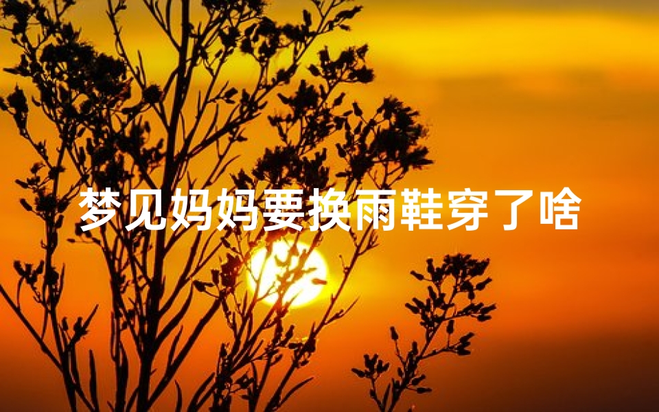 梦见妈妈要换雨鞋穿了啥意思;梦见妈妈在换衣服