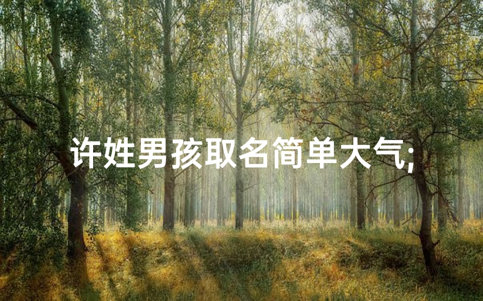许姓男孩取名简单大气;《许姓男宝宝，洋气名字大推荐》