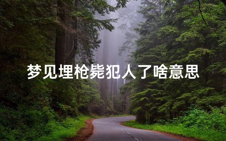 梦见埋枪毙犯人了啥意思,梦见把枪埋起来
