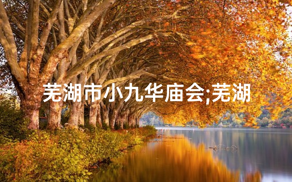 芜湖市小九华庙会;芜湖小九华寺庙求签：探寻神秘灵签之旅