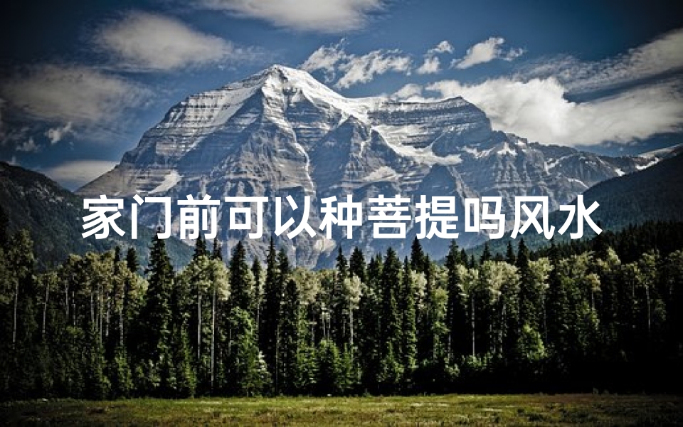 家门前可以种菩提吗风水,家门种菩提：风水宜忌全解析