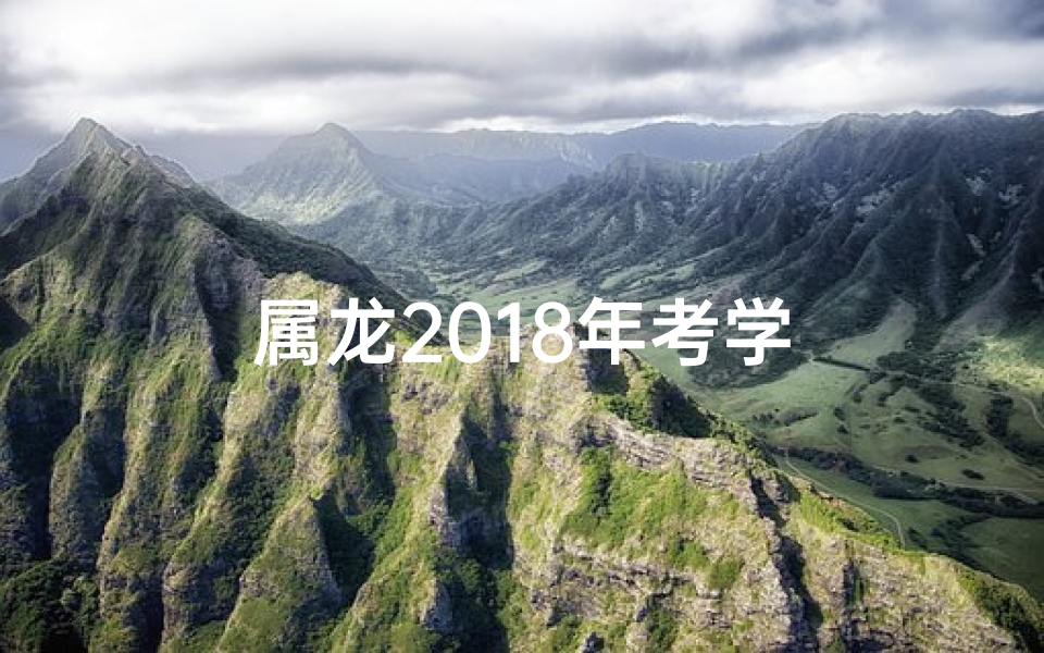 属龙2018年考学