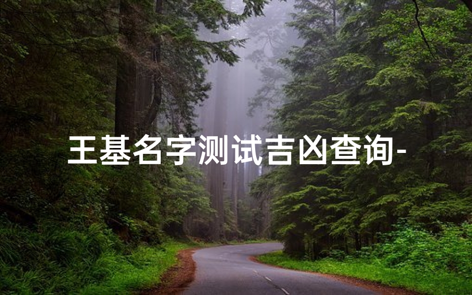 王基名字测试吉凶查询-王吉什么名字好听男