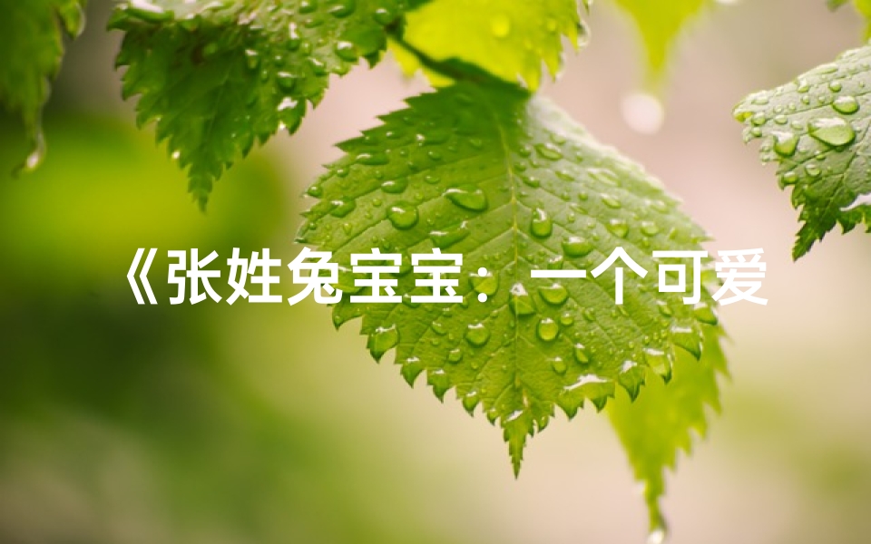 《张姓兔宝宝：一个可爱男孩的温馨故事》