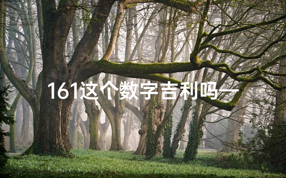 161这个数字吉利吗—1617数理吉凶深度解析：揭秘数字背后的运势秘密