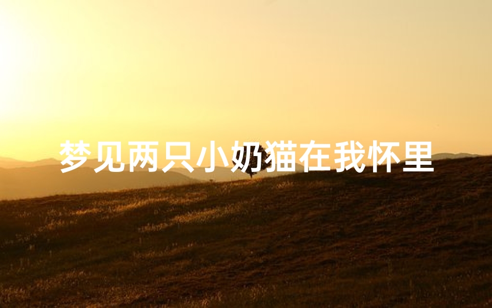 梦见两只小奶猫在我怀里—梦见两只小奶猫是什么预兆