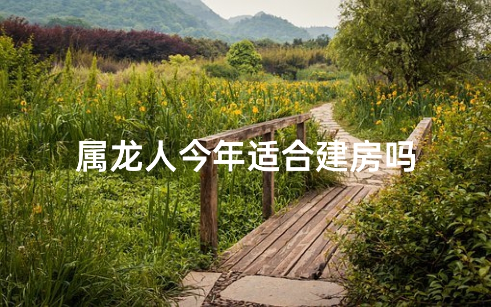 属龙人今年适合建房吗