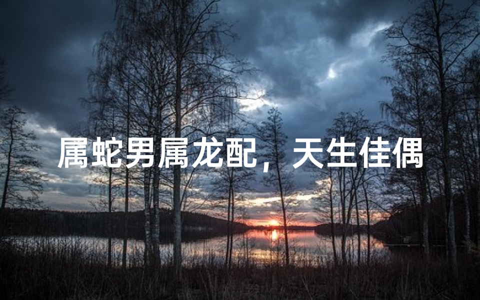 属蛇男属龙配，天生佳偶，幸福美满