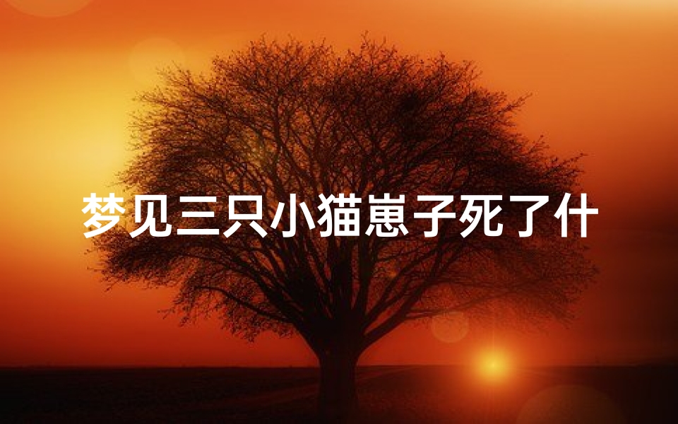 梦见三只小猫崽子死了什么预兆;梦见三只小猫咪