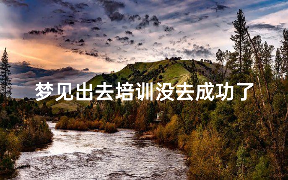 梦见出去培训没去成功了_梦到自己去培训班