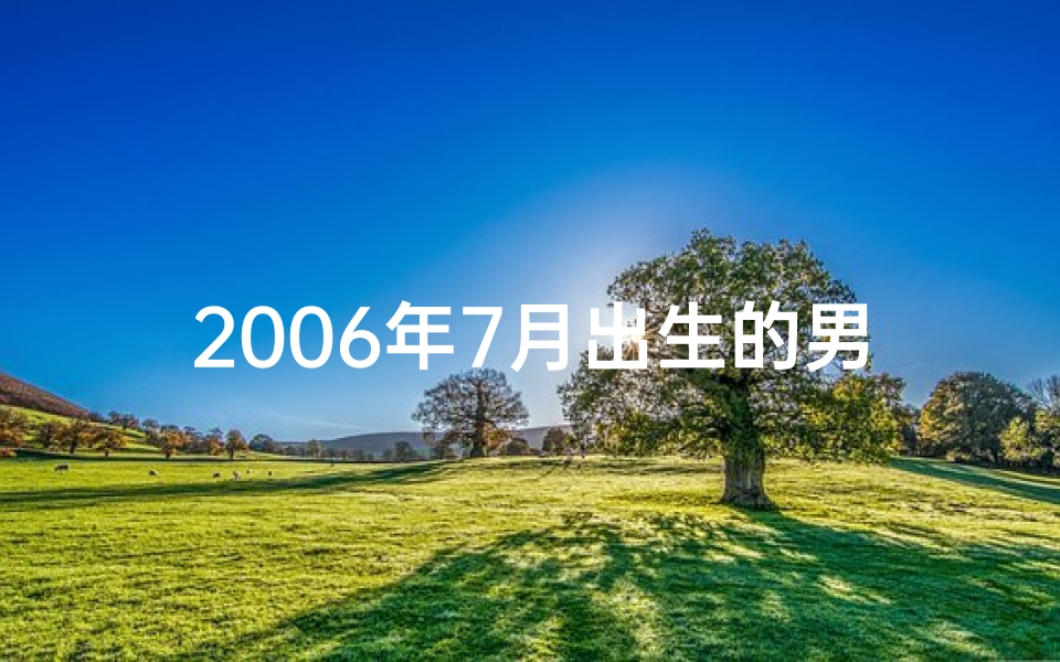 2006年7月出生的男孩命好吗,2006年7月命格：揭秘神秘命运之谜