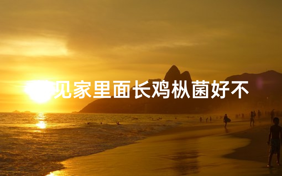 梦见家里面长鸡枞菌好不好,梦见家里面长鸡枞菌好不好呢