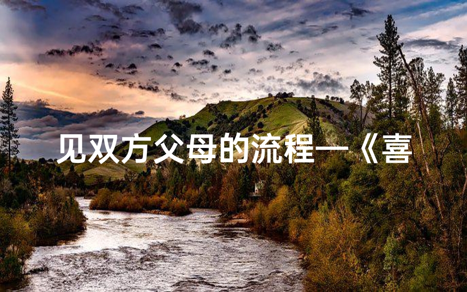 见双方父母的流程—《喜结良缘：黄道吉日见双方父母大喜之日》