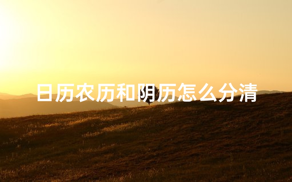 日历农历和阴历怎么分清-《农历与阴历辨析：轻松区分两历差异》