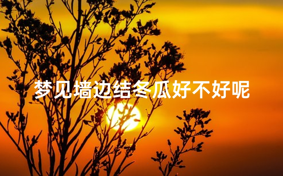 梦见墙边结冬瓜好不好呢,梦见冬瓜藤上结了一个小瓜