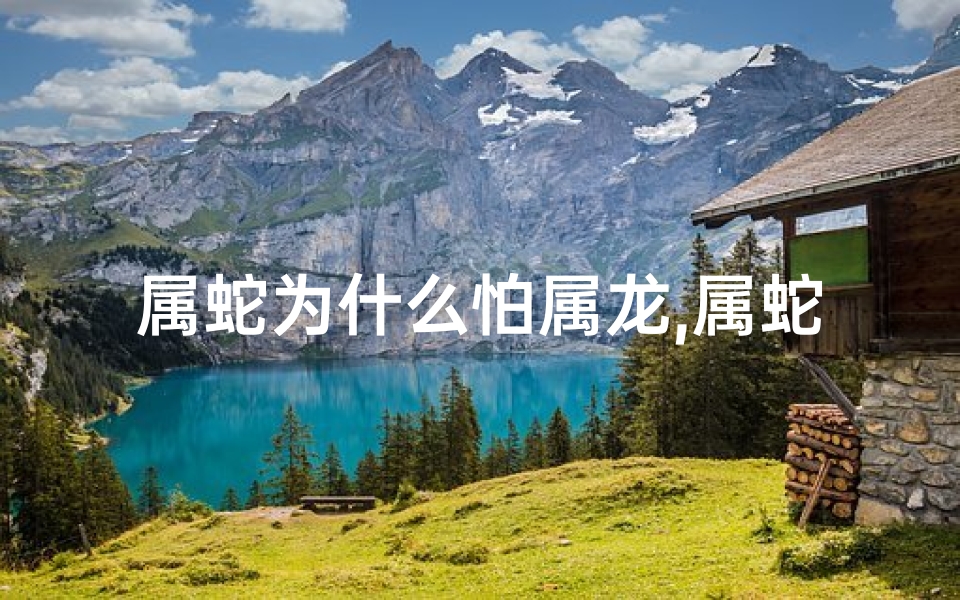 属蛇为什么怕属龙,属蛇为何总被属龙人玩弄？揭秘生肖之谜